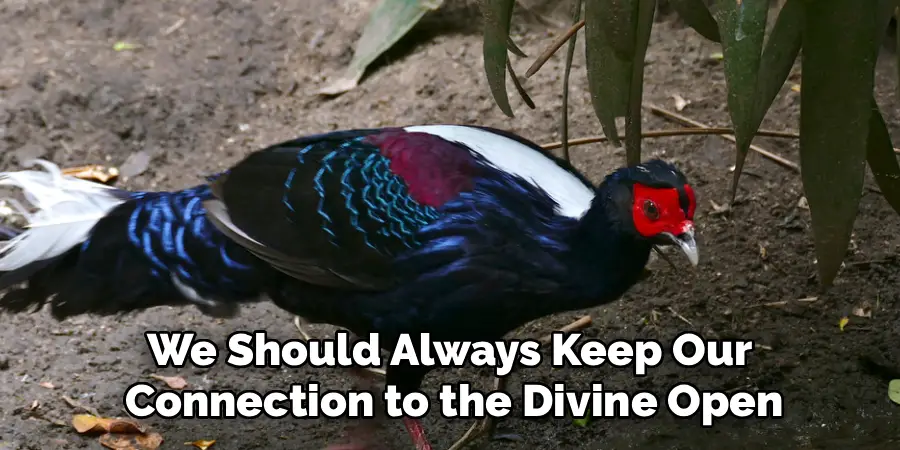 We Should Always Keep Our 
Connection to the Divine Open