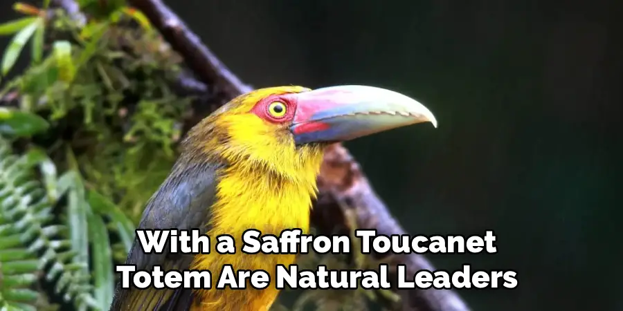 With a Saffron Toucanet
Totem Are Natural Leaders