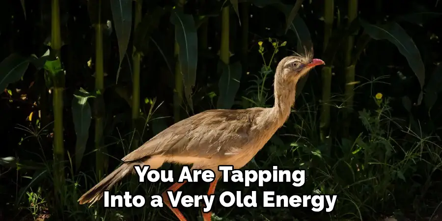 You Are Tapping
Into a Very Old Energy