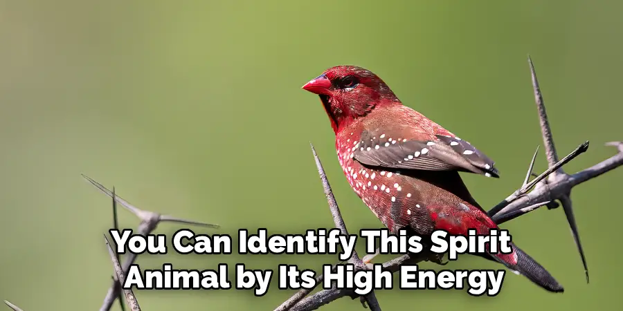 You Can Identify This Spirit 
Animal by Its High Energy