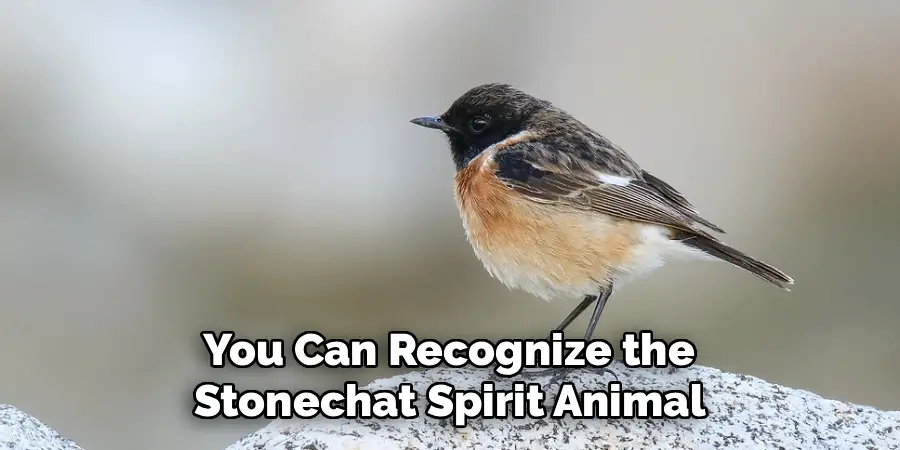 You Can Recognize the
Stonechat Spirit Animal