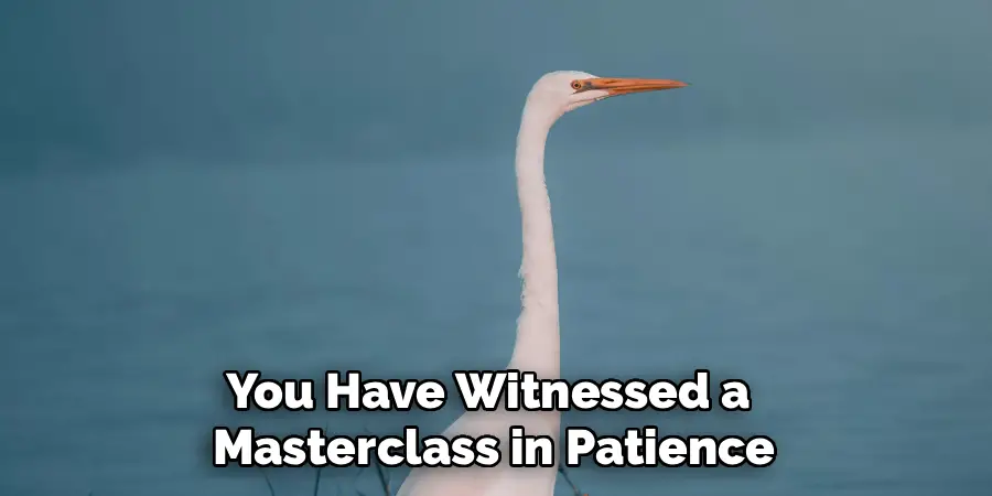 You Have Witnessed a
Masterclass in Patience
