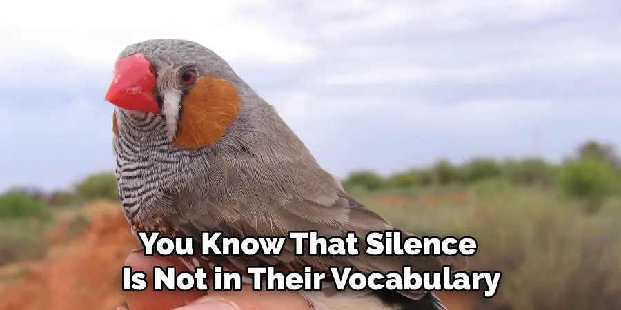 You Know That Silence 
Is Not in Their Vocabulary