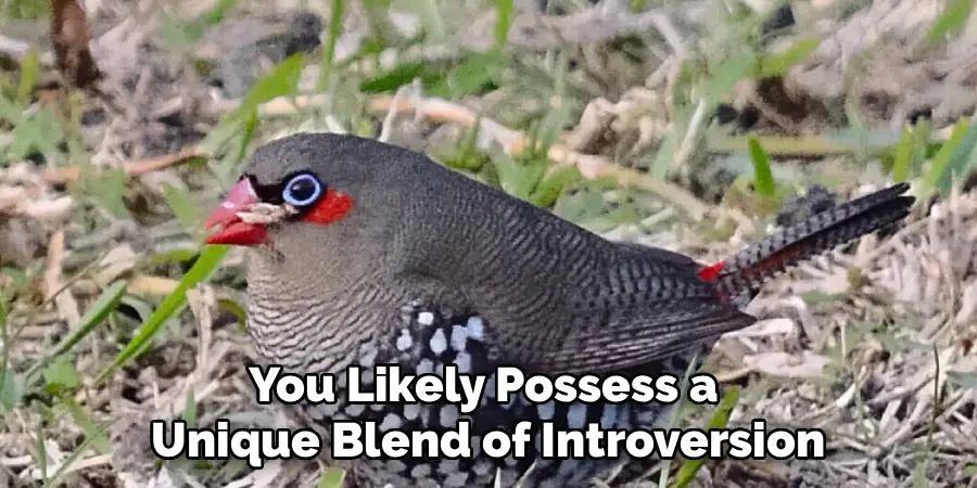 You Likely Possess a 
Unique Blend of Introversion