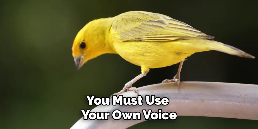 You Must Use 
Your Own Voice