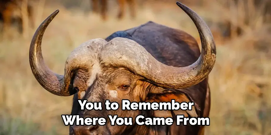 You to Remember
Where You Came From