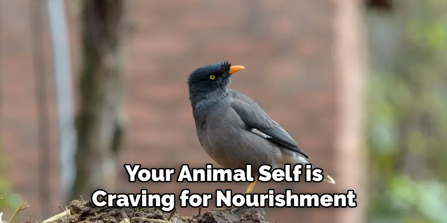 Your Animal Self is
Craving for Nourishment