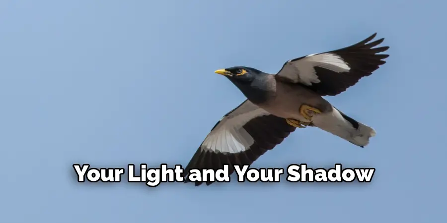 Your Light and Your Shadow