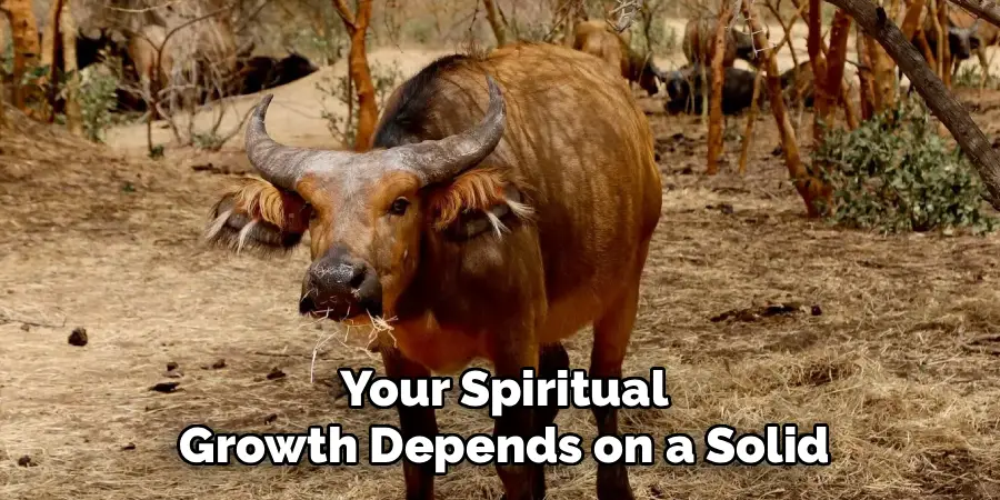 Your Spiritual
Growth Depends on a Solid