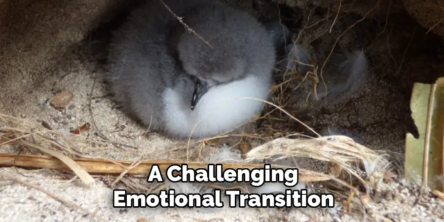  a Challenging 
Emotional Transition