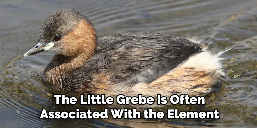  the Little Grebe is Often 
Associated With the Element