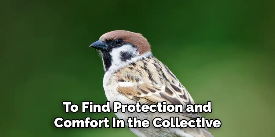 to Find Protection and
Comfort in the Collective