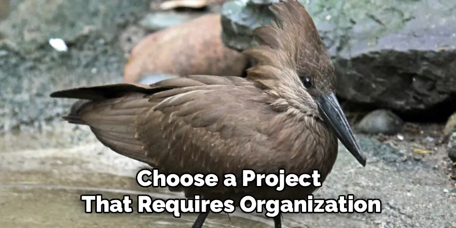 Choose a Project
That Requires Organization