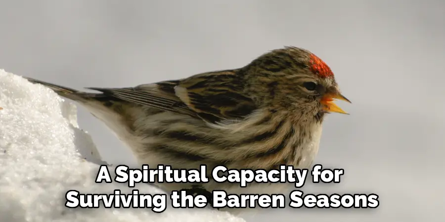 A Spiritual Capacity for 
Surviving the Barren Seasons