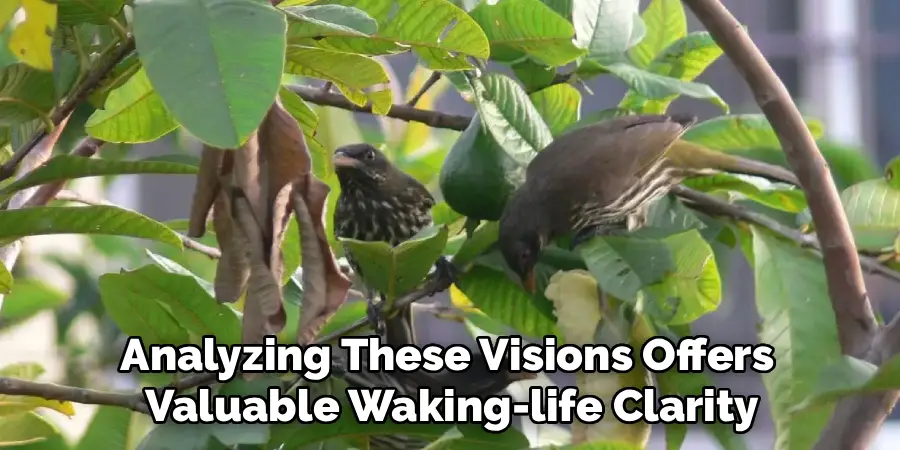 Analyzing These Visions Offers
Valuable Waking-life Clarity