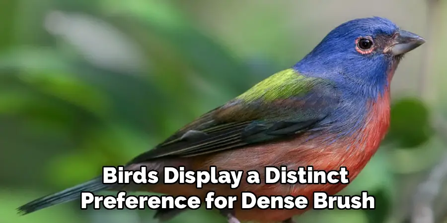 Birds Display a Distinct
 Preference for Dense Brush