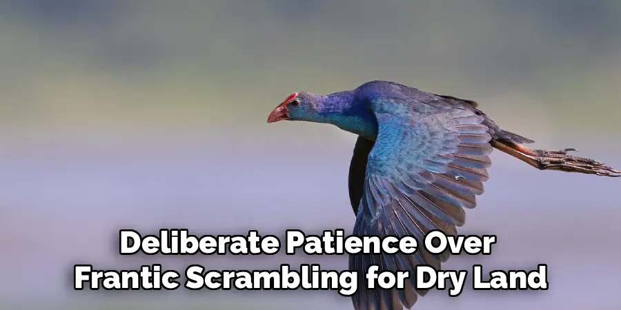 Deliberate Patience Over 
Frantic Scrambling for Dry Land