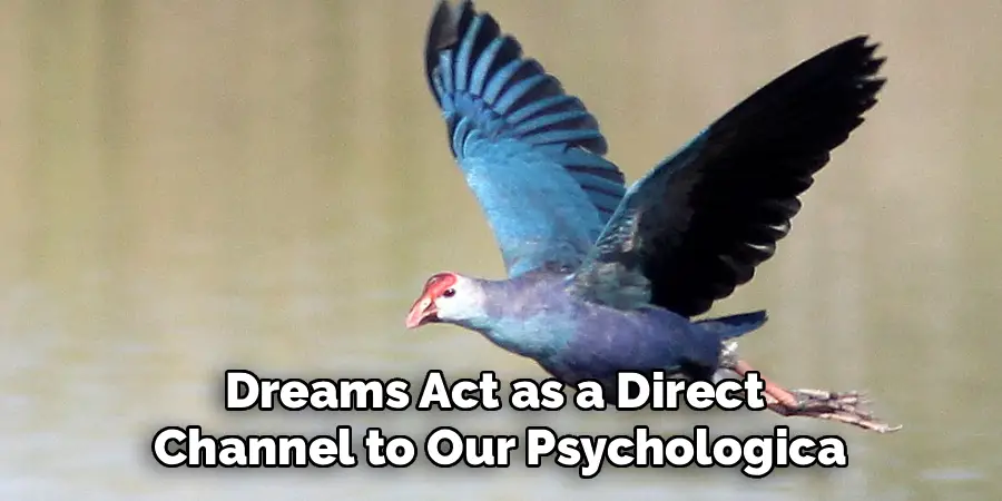 Dreams Act as a Direct 
Channel to Our Psychologica