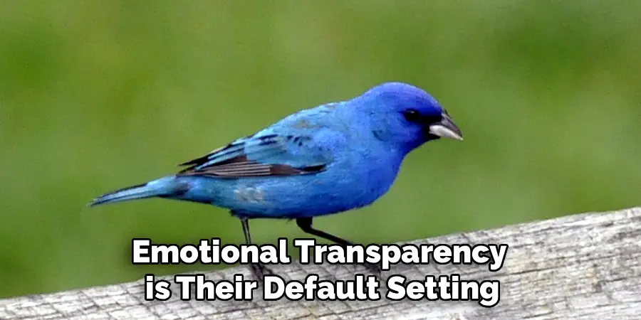 Emotional Transparency
 is Their Default Setting