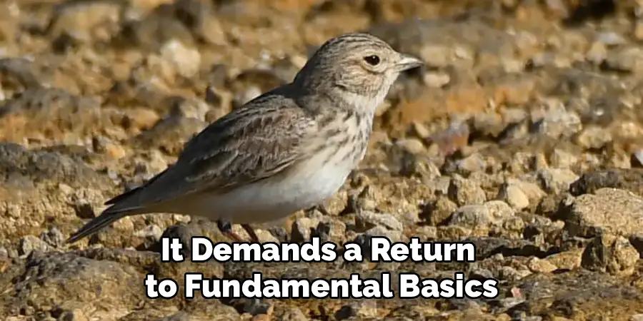 It Demands a Return
 to Fundamental Basics