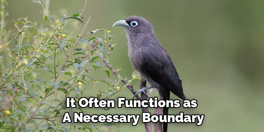It Often Functions as 
A Necessary Boundary