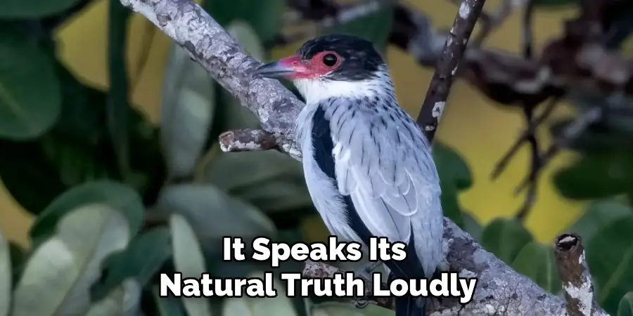 It Speaks Its
Natural Truth Loudly