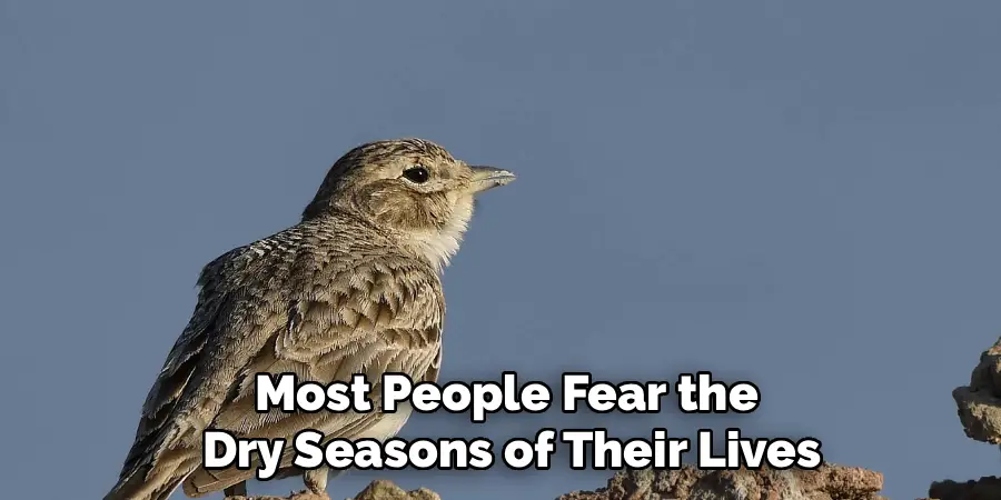 Most People Fear the 
Dry Seasons of Their Lives
