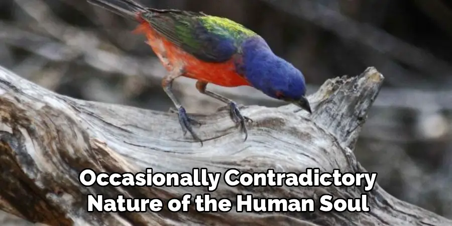 Occasionally Contradictory
Nature of the Human Soul