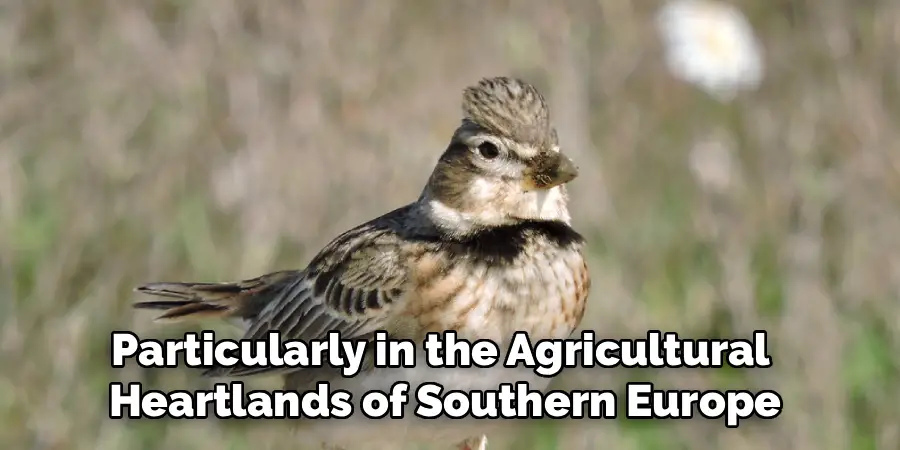 Particularly in the Agricultural
Heartlands of Southern Europe