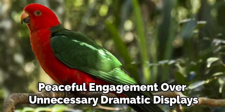 Peaceful Engagement Over 
Unnecessary Dramatic Displays