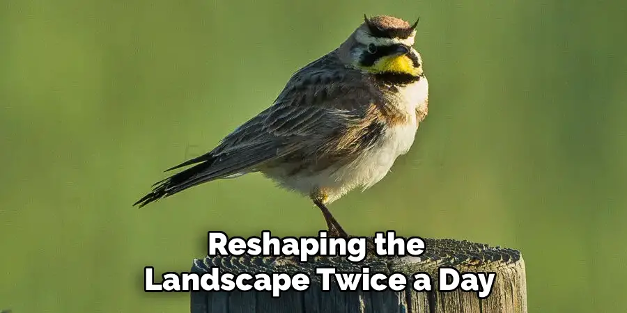 Reshaping the
 Landscape Twice a Day
