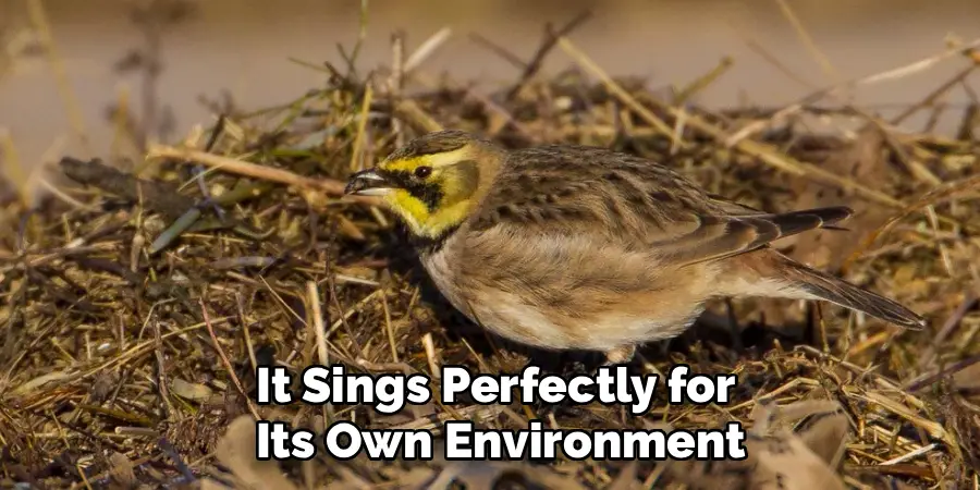 It Sings Perfectly for 
Its Own Environment