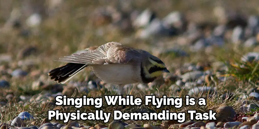 Singing While Flying is a
 Physically Demanding Task