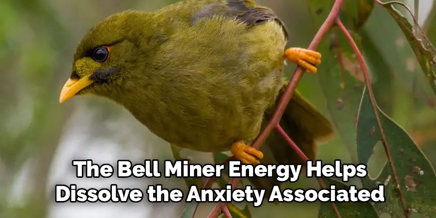 The Bell Miner Energy Helps
Dissolve the Anxiety Associated