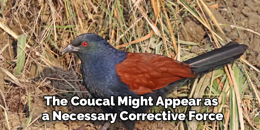 The Coucal Might Appear as
 a Necessary Corrective Force