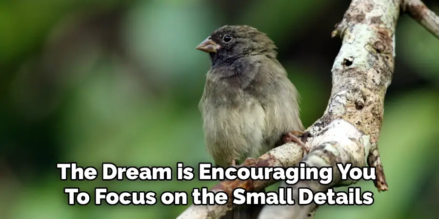 The Dream is Encouraging You 
To Focus on the Small Details