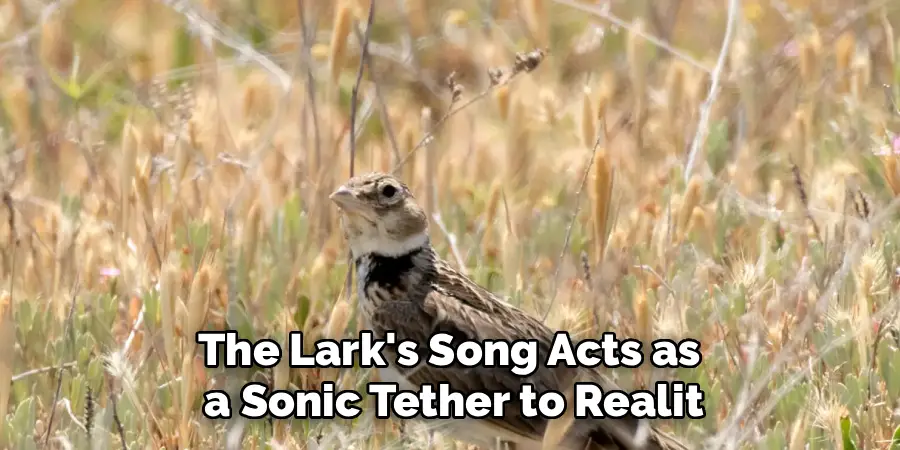 The Lark's Song Acts as a Sonic Tether to Realit