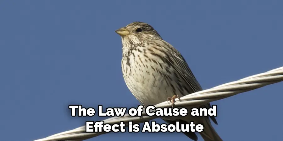 The Law of Cause and
 Effect is Absolute