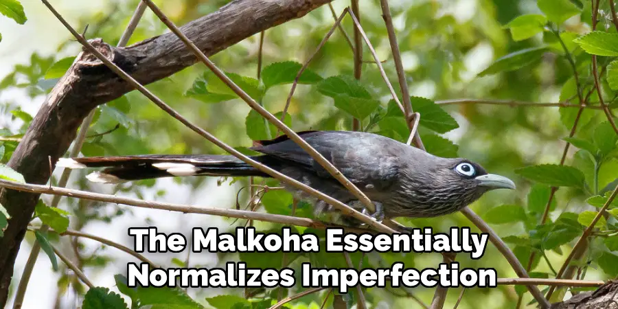 The Malkoha Essentially 
Normalizes Imperfection