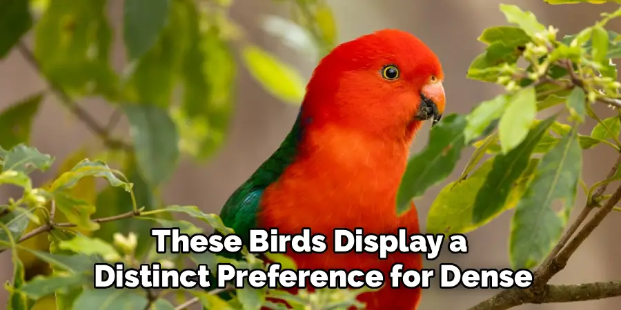 These Birds Display a 
Distinct Preference for Dense