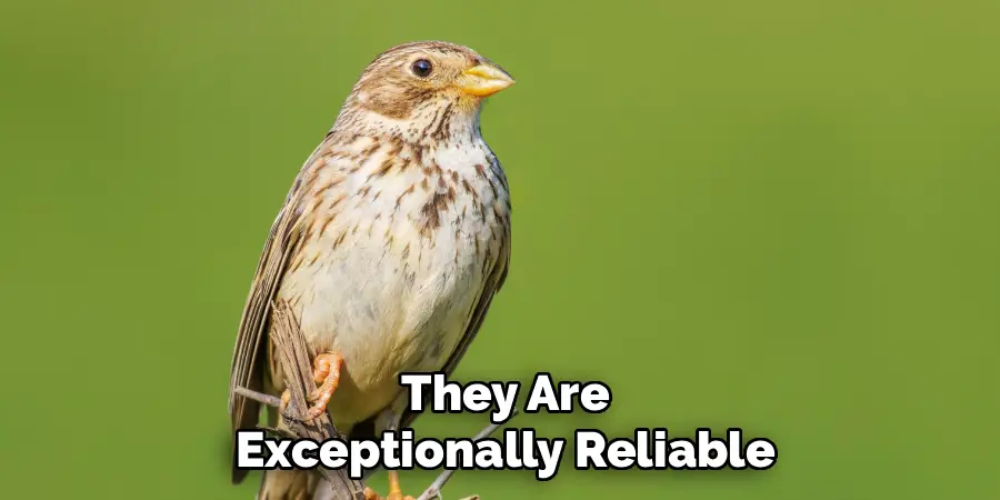 They Are
Exceptionally Reliable