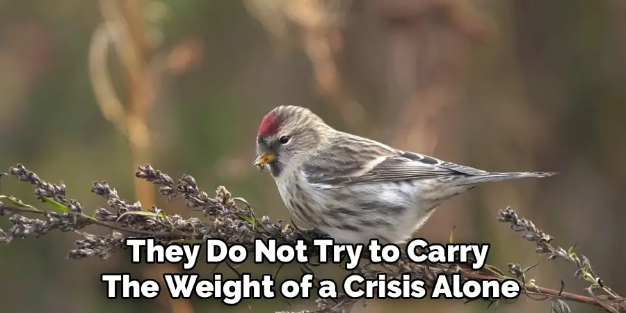 They Do Not Try to Carry 
The Weight of a Crisis Alone