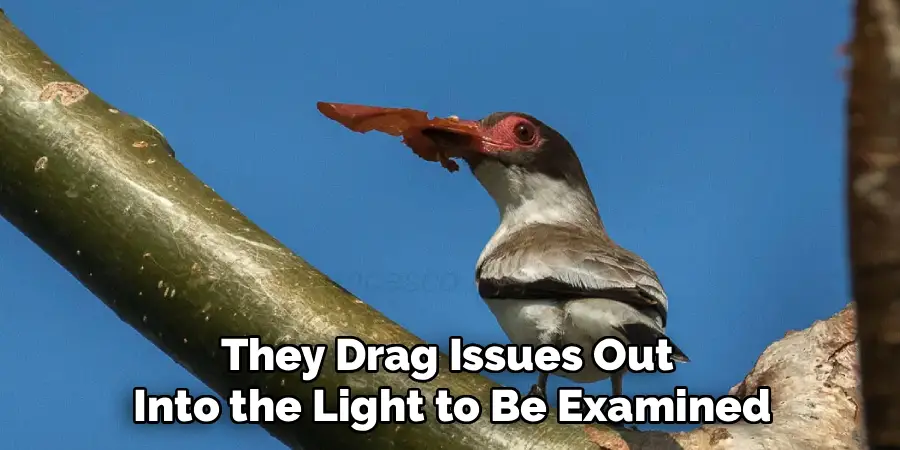 They Drag Issues Out Into the Light to Be Examined