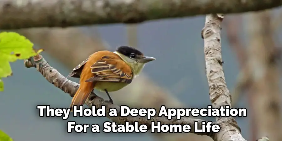 They Hold a Deep Appreciation
For a Stable Home Life