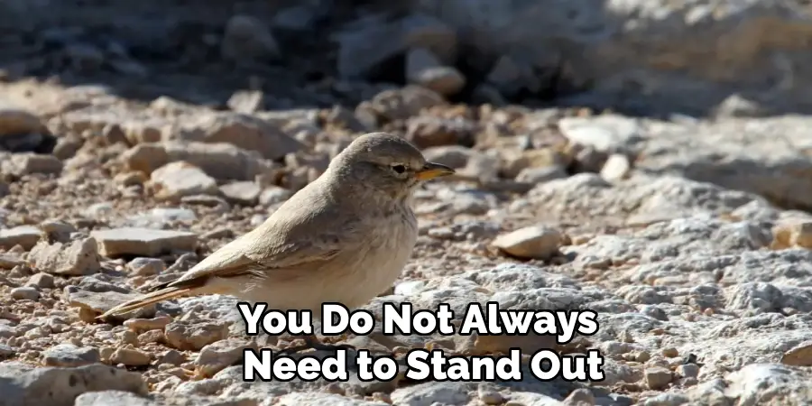 You Do Not Always 
Need to Stand Out