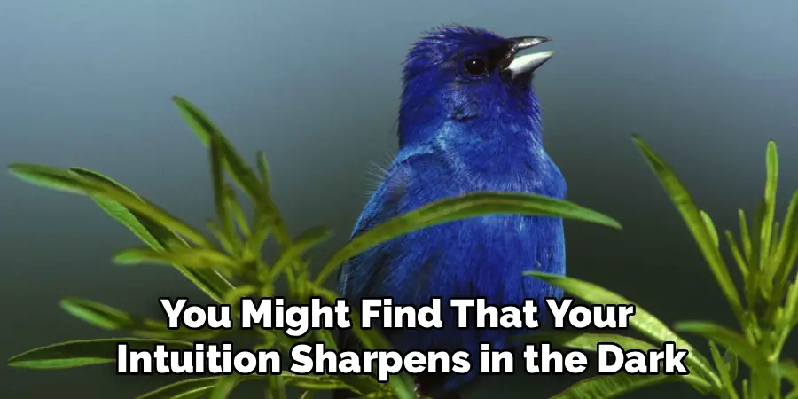 You Might Find That Your
 Intuition Sharpens in the Dark