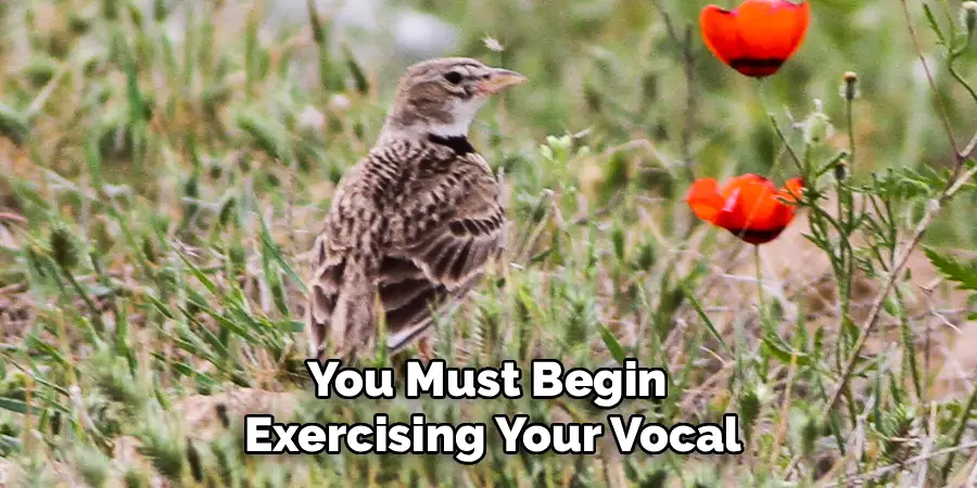 You Must Begin
Exercising Your Vocal