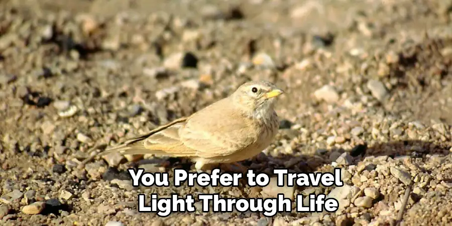 You Prefer to Travel
 Light Through Life