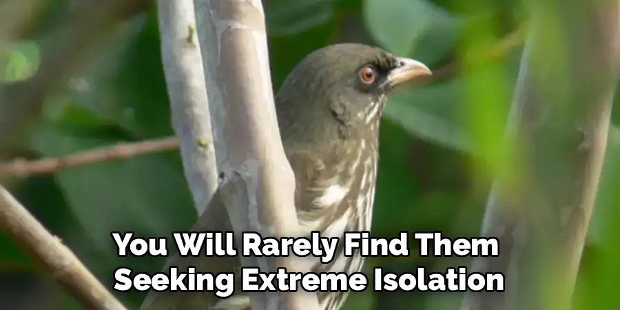 You Will Rarely Find Them
Seeking Extreme Isolation