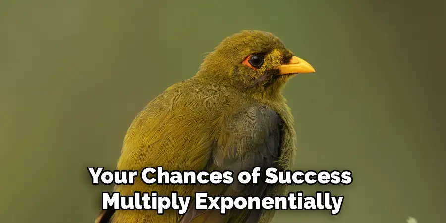Your Chances of Success
Multiply Exponentially